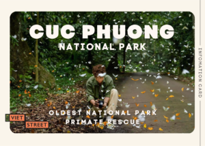 Postcard: Cuc Phuong National Park