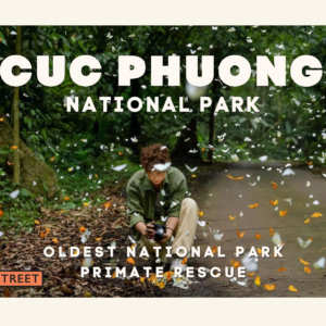 Postcard : Cuc Phuong National Park