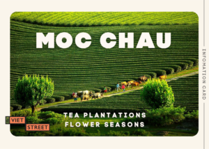 Postcard: Moc Chau